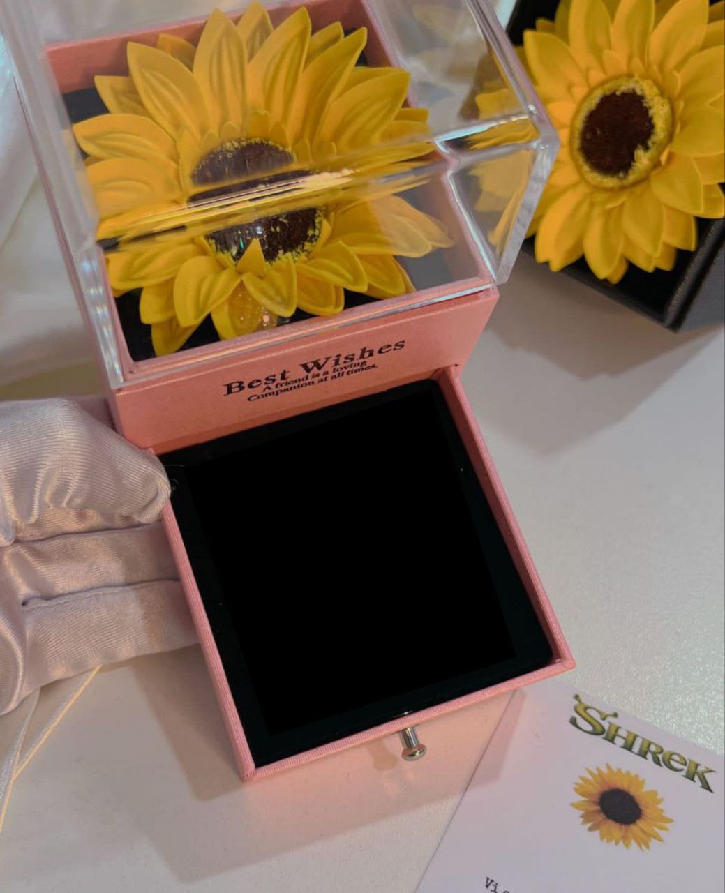Conjunto "Luz de Girasol" 💡🌻