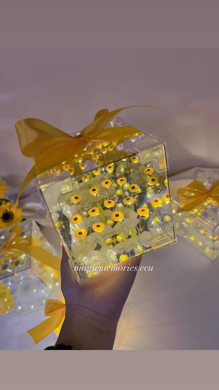 Cubo de Girasoles ☀️🌻