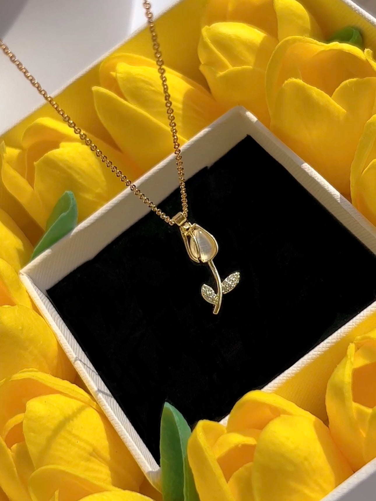 Premium Box Tulipanes Amarillos💛🐝