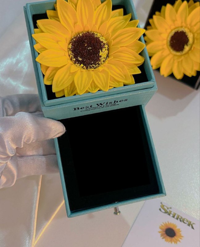 Conjunto "Luz de Girasol" 💡🌻