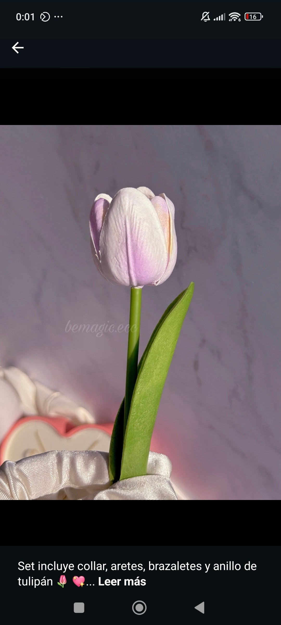 Tulipanes de Primavera 💐 Set Jardín de Tulipanes