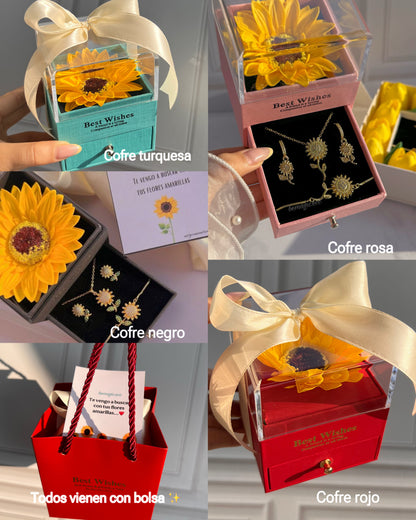 Conjunto "Eterna Primavera"🌻🌿