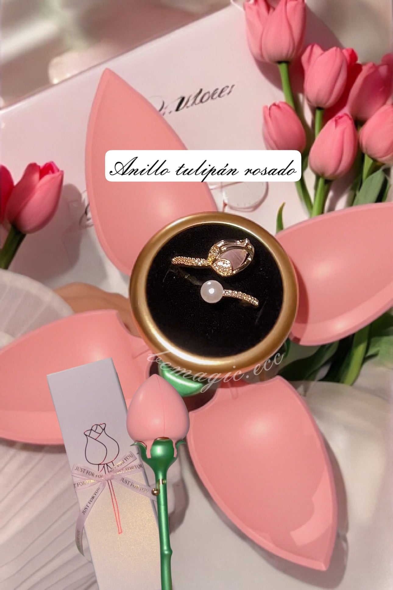 Anillo promesa + cofre de tulipán eterno 💍💖🌷