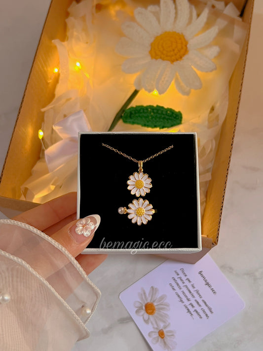 Box Margaritas 🌼✨ Envío gratis