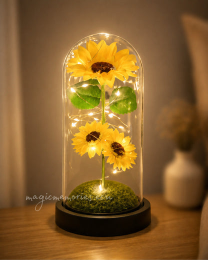 Cúpula Girasoles eternos 💛🌻