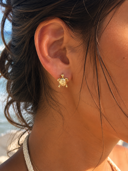 Turtle Hoops/ Princess Collection ✨