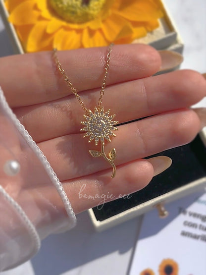 Box Premium Girasoles de Primavera 🌻💛
