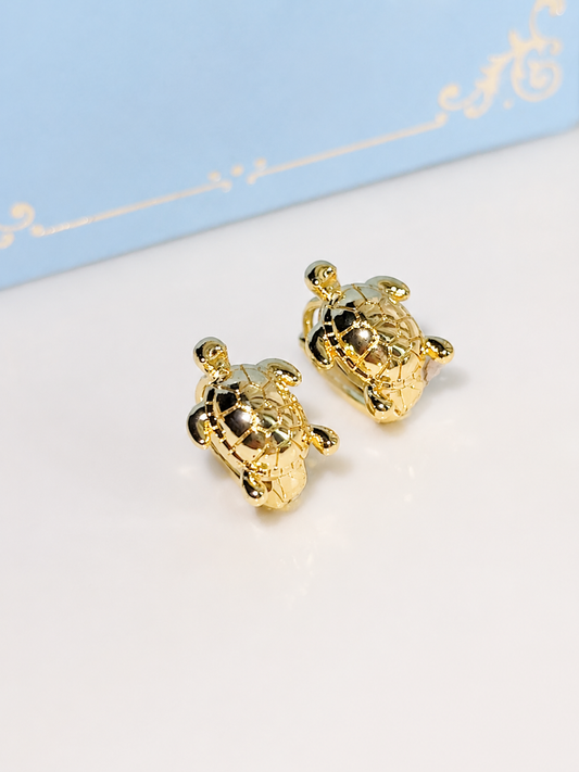 Turtle Hoops/ Princess Collection ✨